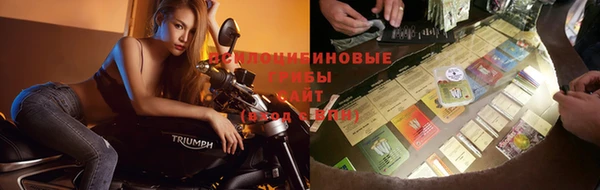 стаф Семикаракорск