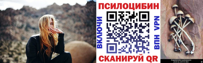 кракен вход  Боровичи  Псилоцибиновые грибы Psilocybine cubensis 